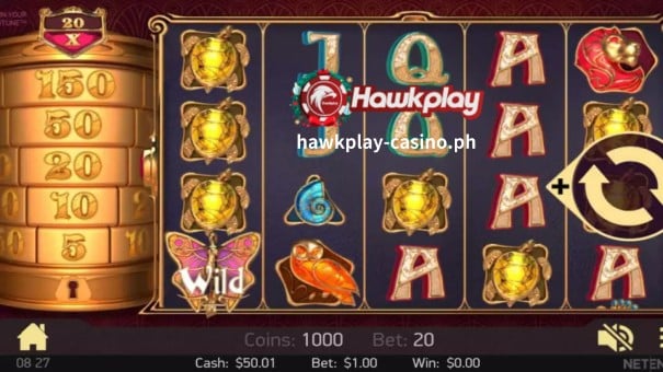 Hawkplay-Slot1